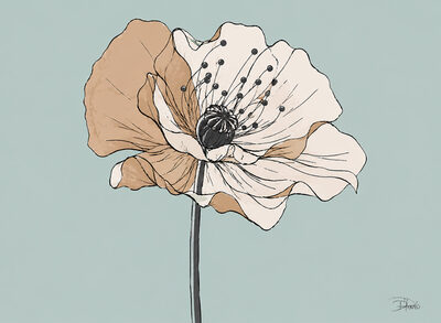 Image Not Available